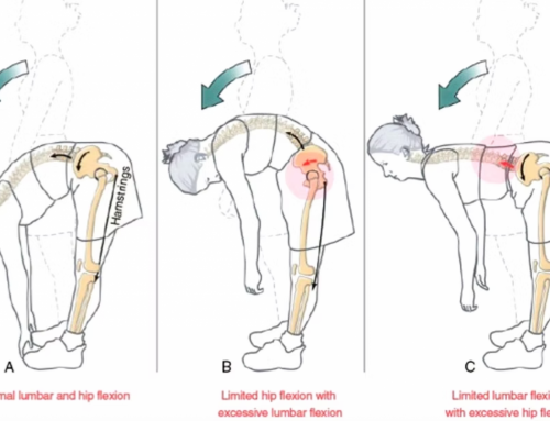¿Dolor lumbar siempre en el mismo punto? Esto te interesa