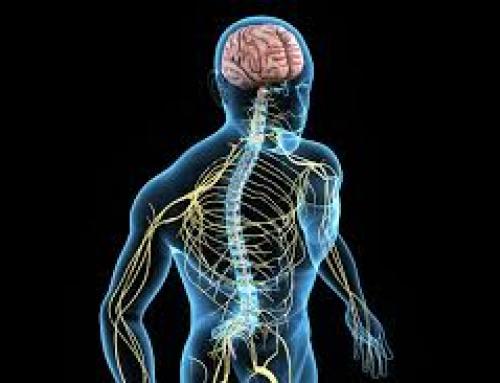 Tratamiento del dolor neuropático: por qué no basta con “desinflamar el nervio”